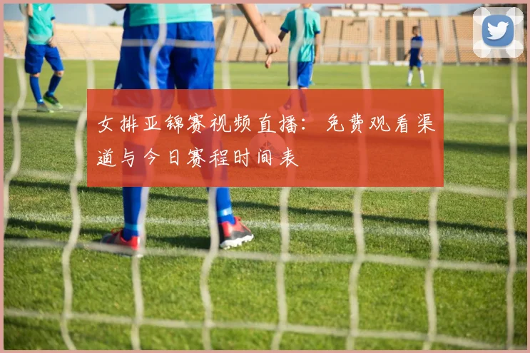 女排亚锦赛视频直播：免费观看渠道与今日赛程时间表