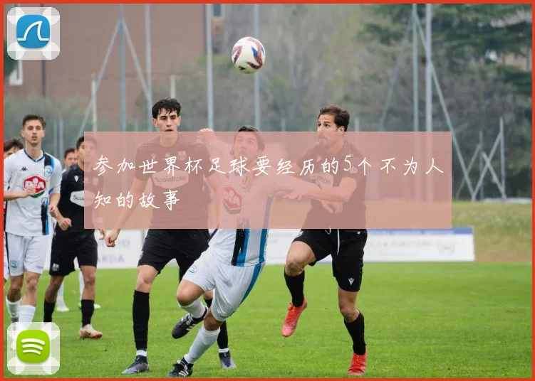 参加世界杯足球要经历的5个不为人知的故事