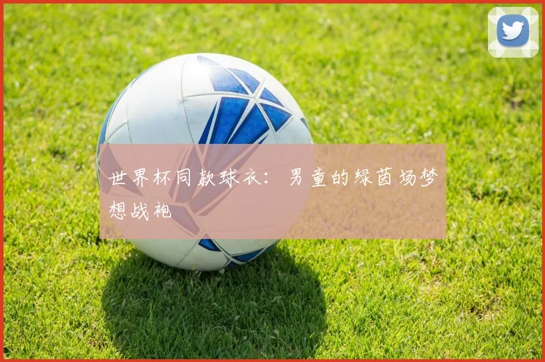 世界杯同款球衣：男童的绿茵场梦想战袍