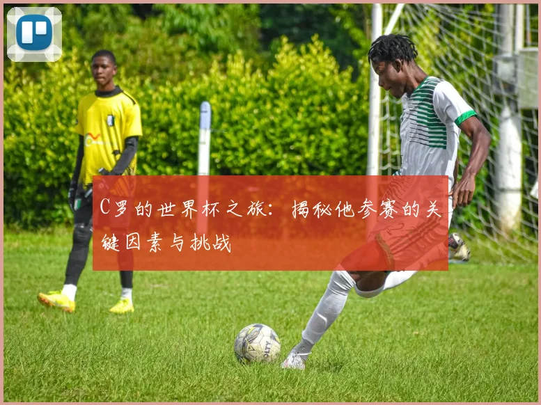 C罗的世界杯之旅：揭秘他参赛的关键因素与挑战