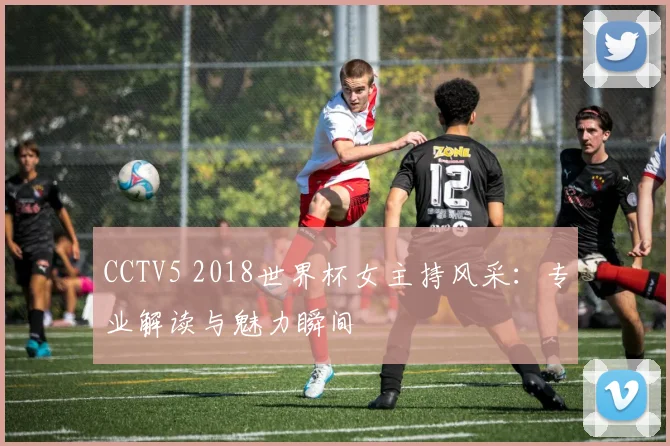CCTV5 2018世界杯女主持风采：专业解读与魅力瞬间