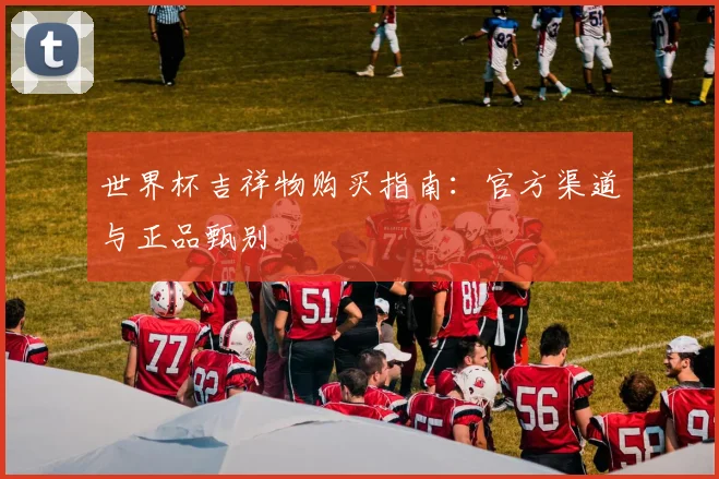 世界杯吉祥物购买指南：官方渠道与正品甄别