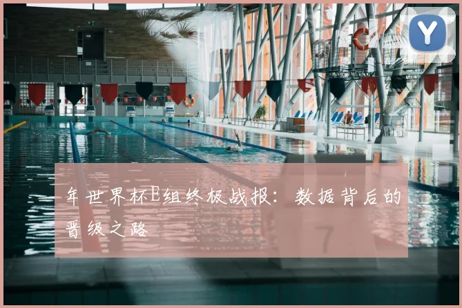 年世界杯E组终极战报：数据背后的晋级之路