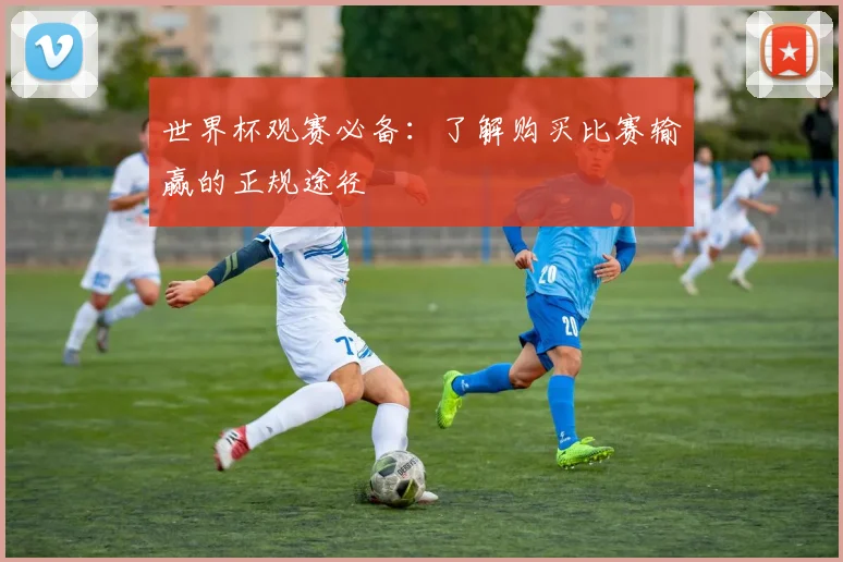 世界杯观赛必备：了解购买比赛输赢的正规途径