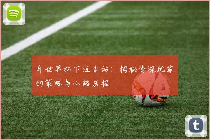年世界杯下注专访：揭秘资深玩家的策略与心路历程