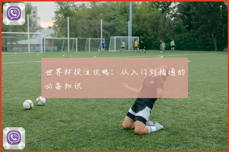 世界杯投注攻略:从入门到精通的必备知识